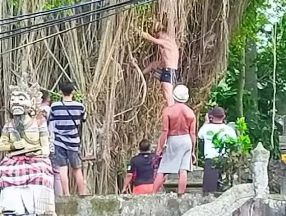 Panjat Pohon Keramat...