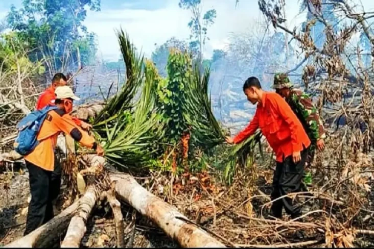 7 Hektare Kebun Karet...