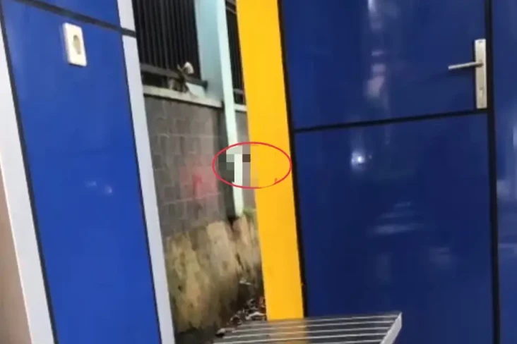 Ibu Rumah Tangga Jadi...
