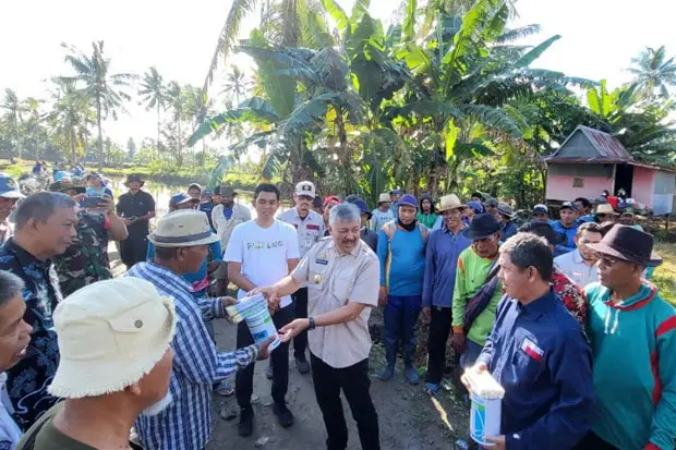 Bupati Pinrang Bersama...