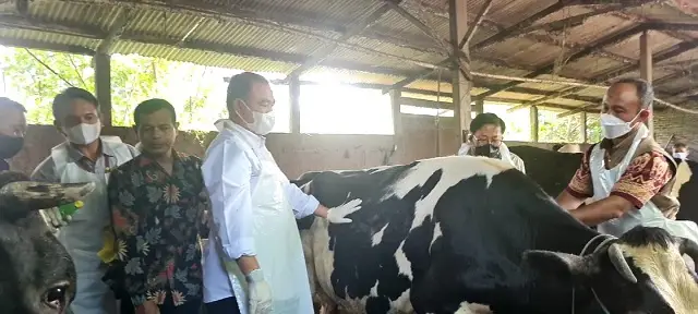 Hadirnya Vaksin Menjadi...