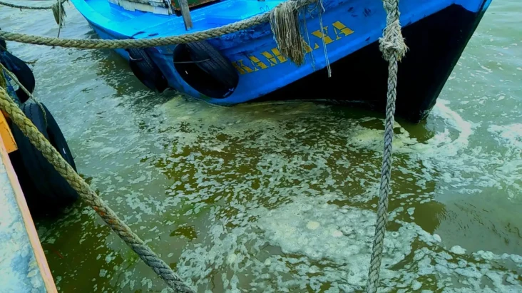 Berwarnai Hijau dan...