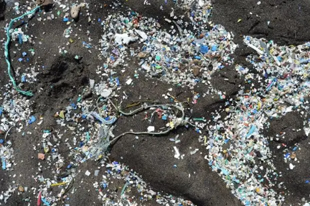 Peneliti: Bahaya Mikroplastik...