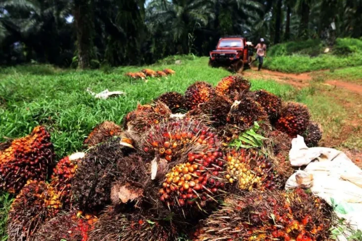 China Masih Dihantui...