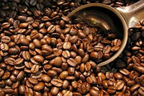10 Kopi Terbaik Jabar...
