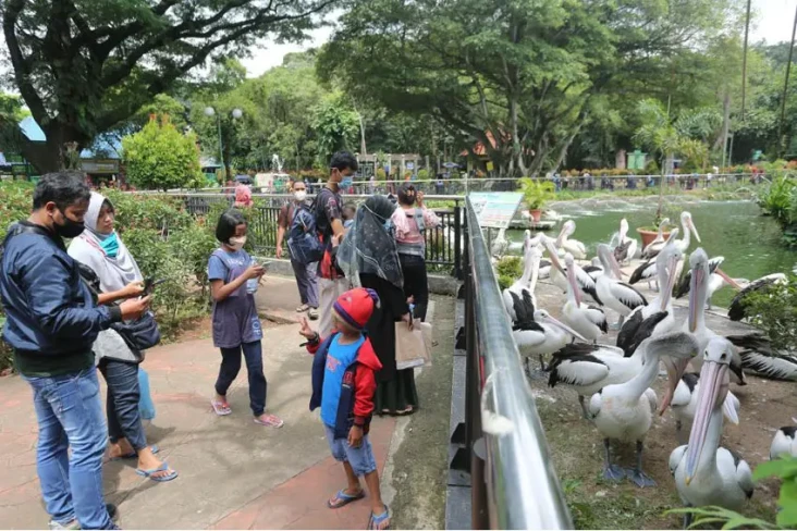 Pengelola Ragunan Sebut...