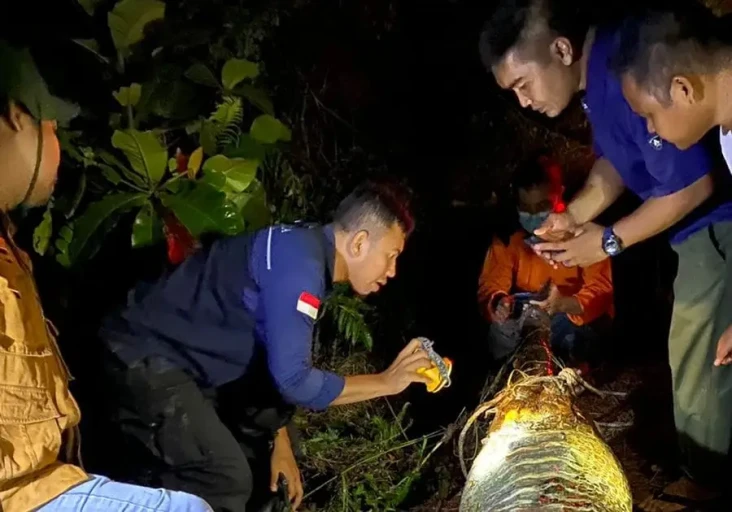 Buaya yang Diduga Memangsa...