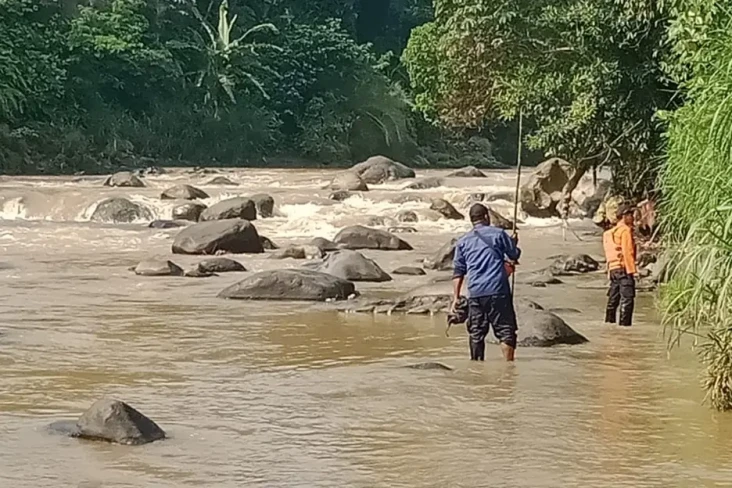 Buaya di Sungai Cisadane...