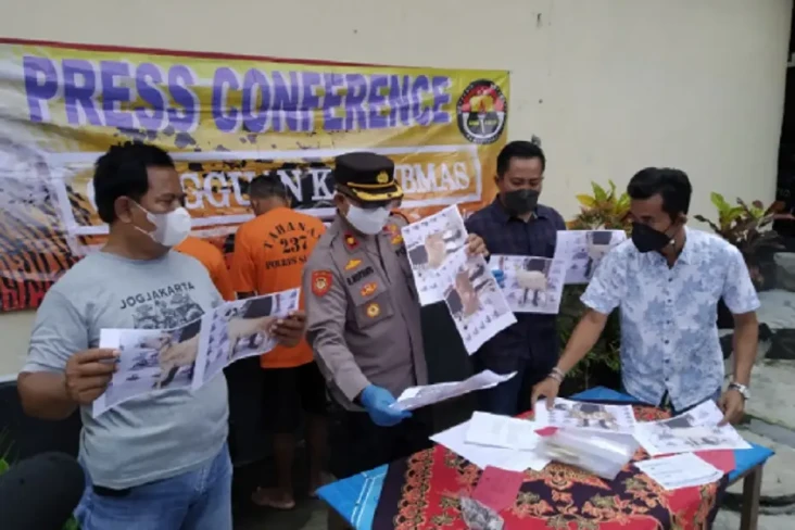 8 Kambing Kurban Raib...