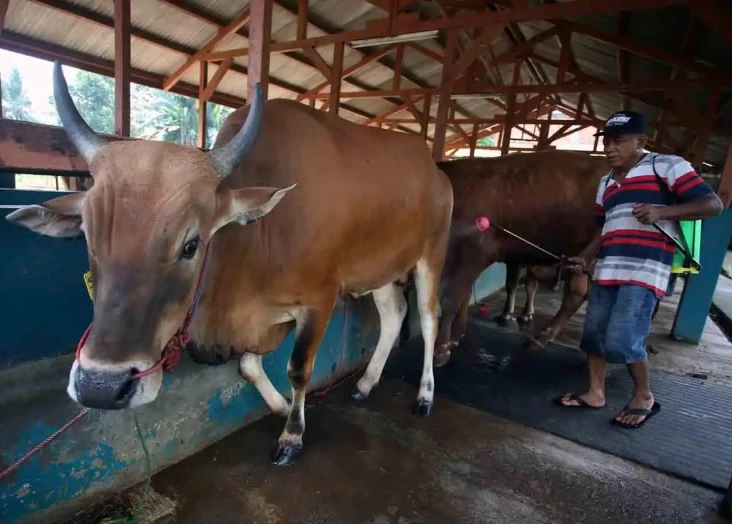 Kemenag Terbitkan Edaran...