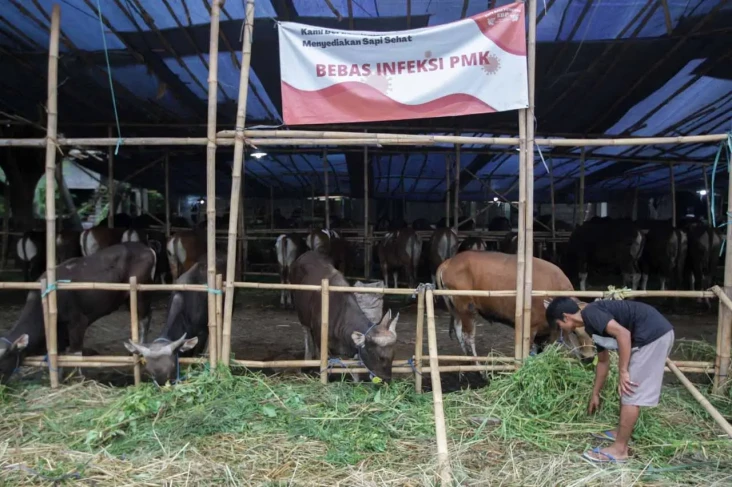 Separuh Kecamatan Terinfeksi...
