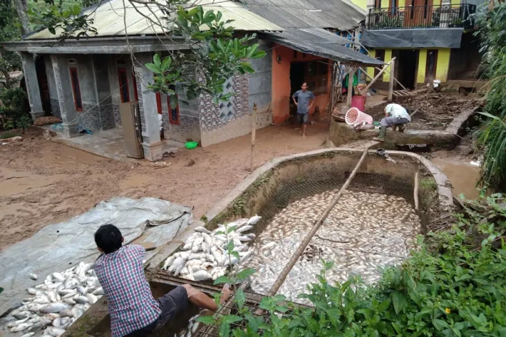 5 Ton Ikan dan Ribuan...
