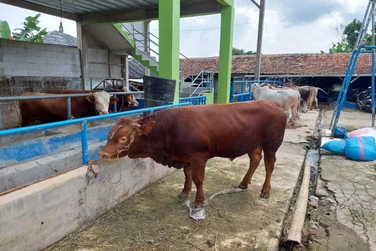 Kota Cimahi Waspadai...