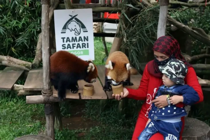 5 Tips Liburan Anak-Anak...