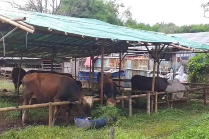 Jelang Idul Adha, Kesehatan...