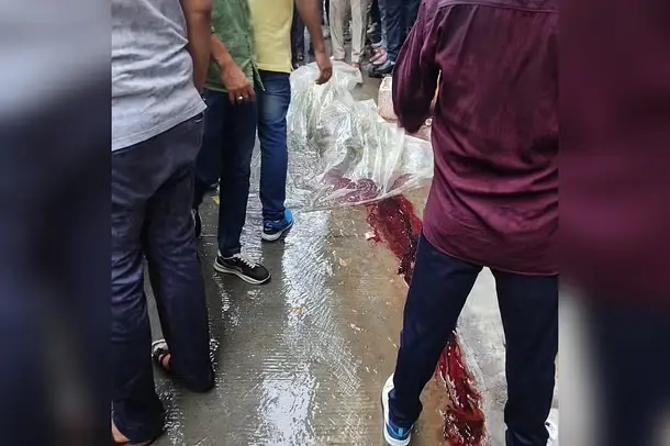 10 Perkembangan Terbaru...