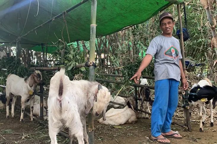 Aksi Maling Hewan Kurban...