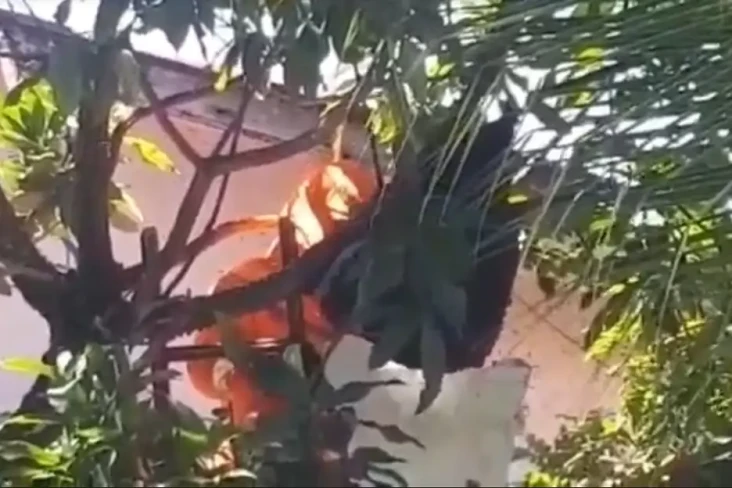 Menegangkan, Pemadam...