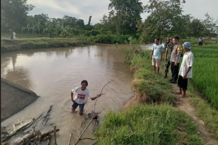 Pamit Izin Cari Belut...