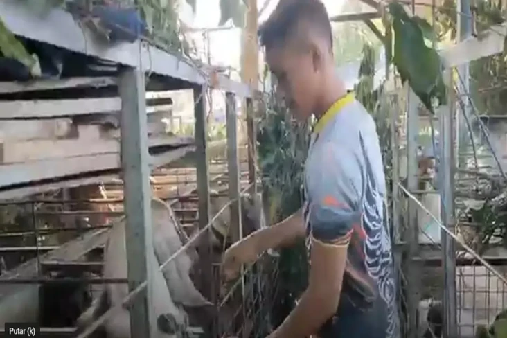 Pasar Hewan Ditutup...
