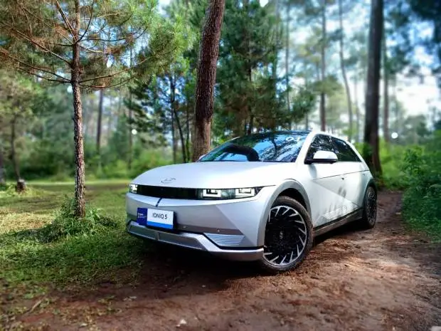 Hyundai IONIQ 5 Raih...