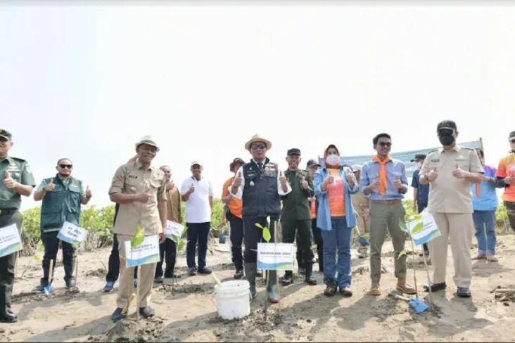 Tekan Dampak Pemanasan...