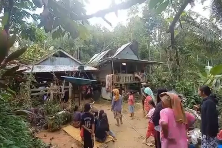 Dihantam Pohon Tumbang,...
