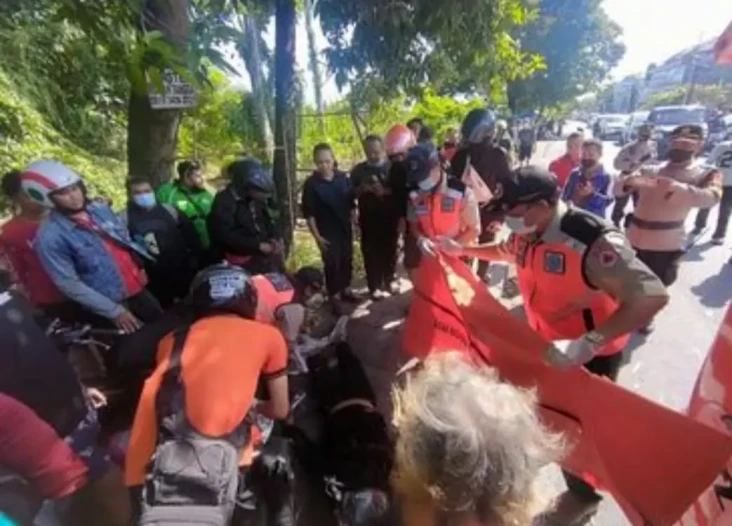Pohon Tumbang di Denpasar,...