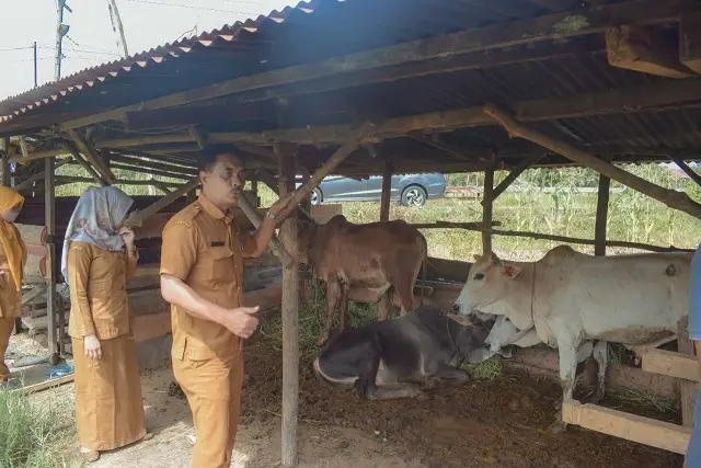 Cegah PMK, Dinas Pertanian...