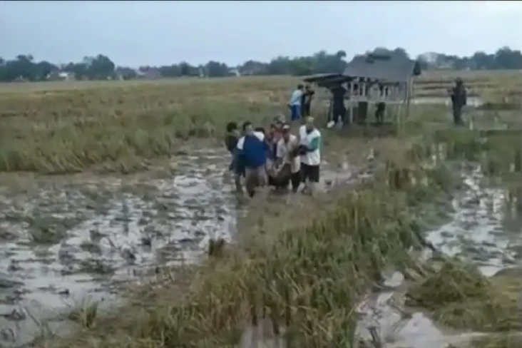 Tangis Pecah di Pemalang,...