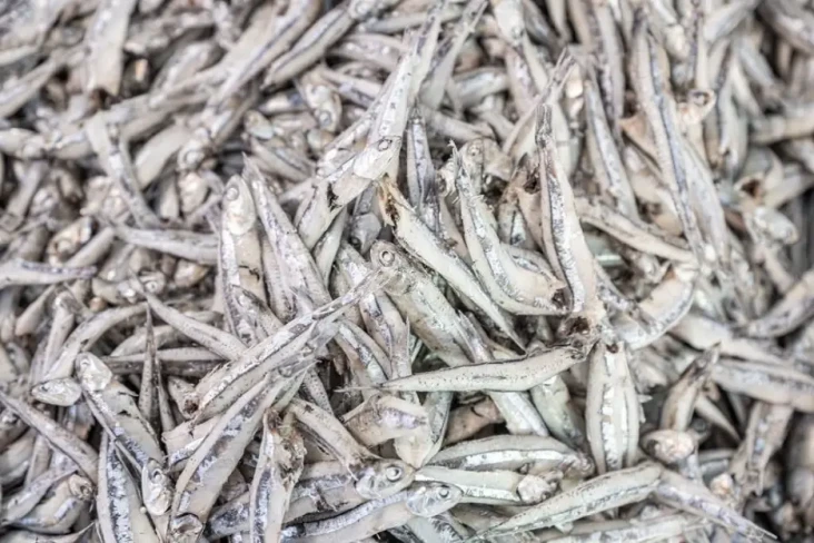 Awas! Ikan Asin Bisa...