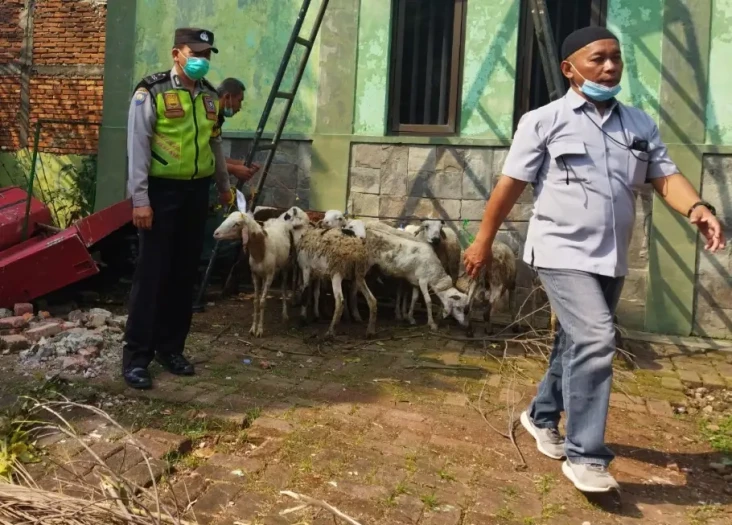 Apresiasi Penyaluran...