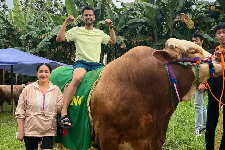 Sapi Kurban Raffi Ahmad...