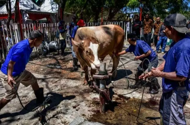 Kemenag Bulukumba Catat...