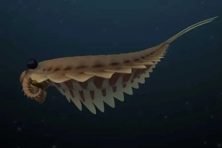Predator Bermata Tiga...