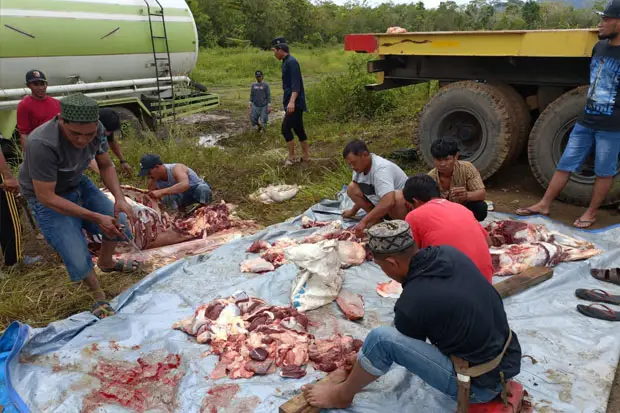 Masmindo dan Perusahaan...