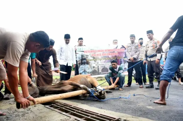 Polres Bulukumba Sembelih...