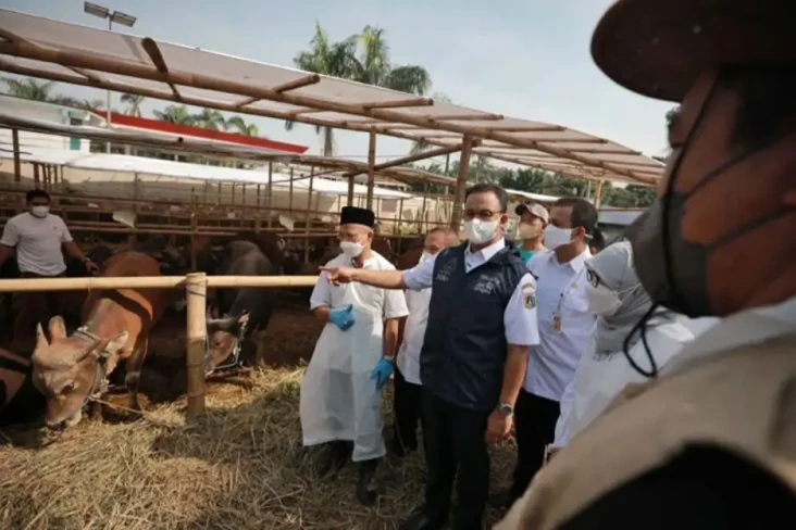 Idul Adha 2022, Anies:...