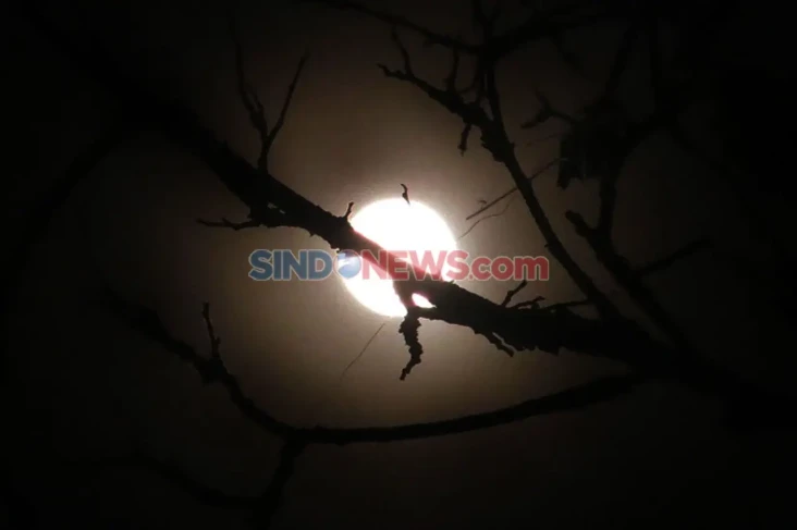 14 Juli Nanti Ada Supermoon,...