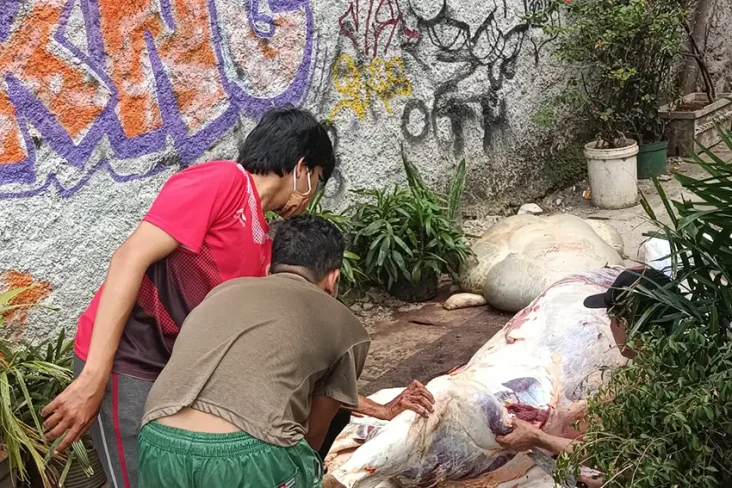Gandeng Napiter dan...
