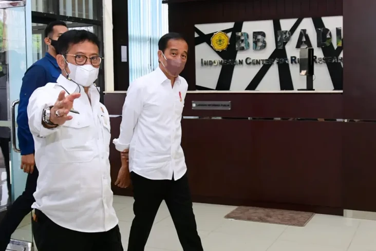 3 Tahun Tak Impor, Jokowi...