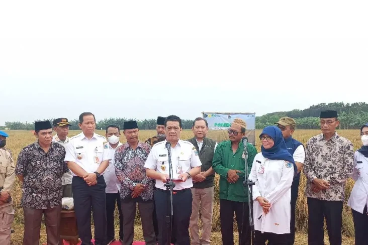 Pemprov DKI Pertimbangkan...