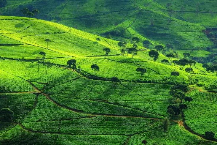 4 Tempat Wisata di Bandung...