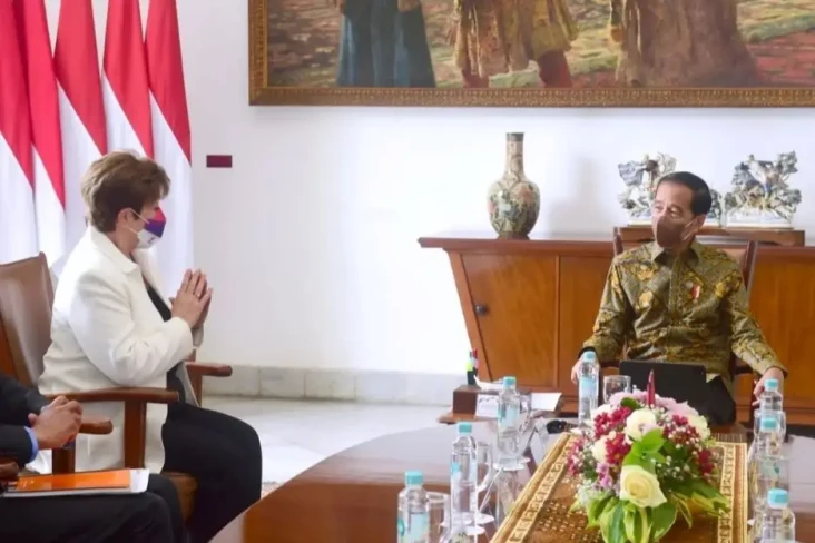 Temui Jokowi di Istana...