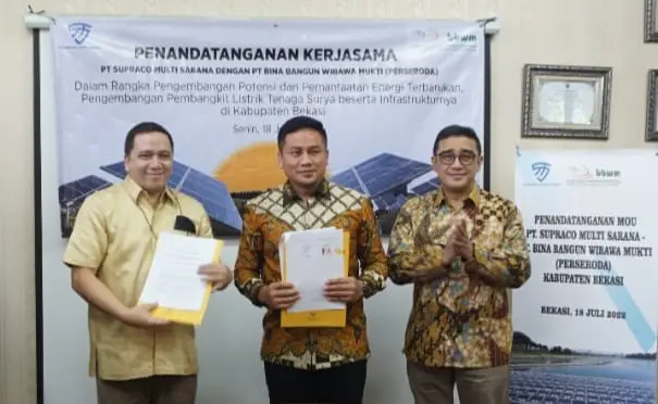 Diversifikasi Usaha,...