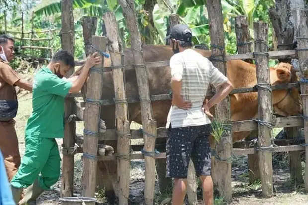 Kabupaten Sidrap Zona...
