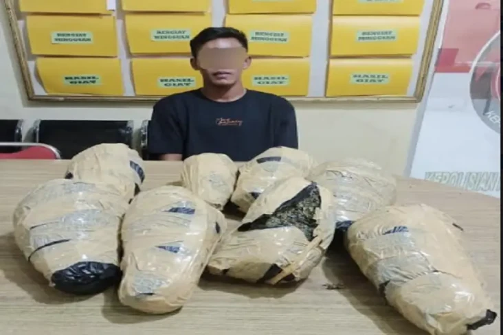 Bawa Ganja 7 Kg, Pria...