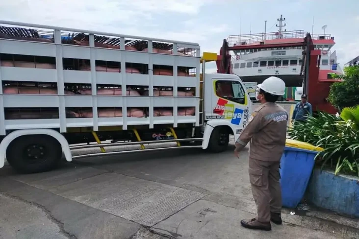 Cegah PMK, Pengiriman...
