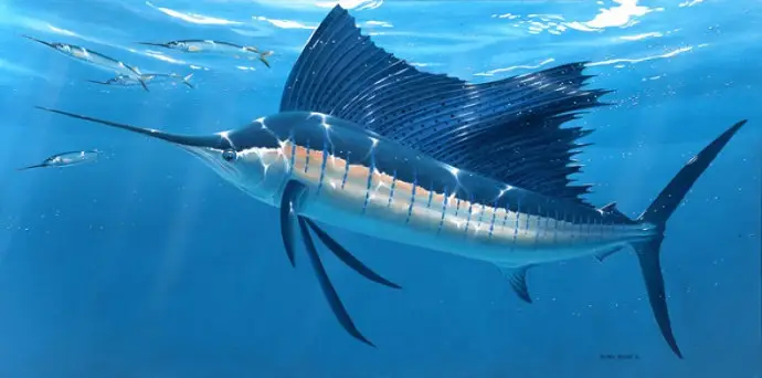 5 Ikan Tercepat di Dunia,...
