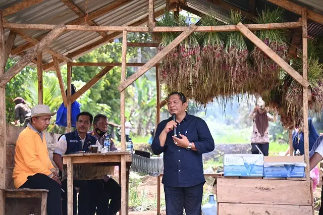 Kota Padang Sidempuan...